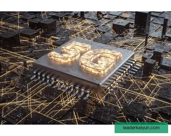 维特斯球队结构分析_ 近期表现稳健，竞争力增强。